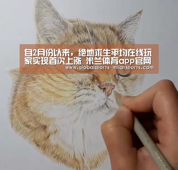 米兰体育app下载