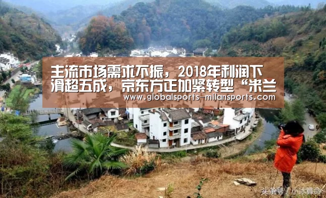 主流市场需求不振,2018年利润下滑超五成,京东方正加紧转型“米兰app”(图2) 米兰体育app下载